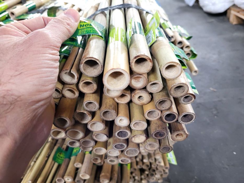 Колчета за укрепване на домати от БАМБУК - естествени