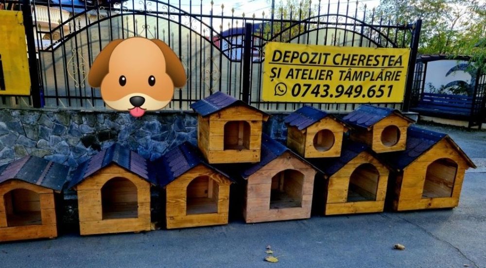 cotețe cățeluși și pisicuțe