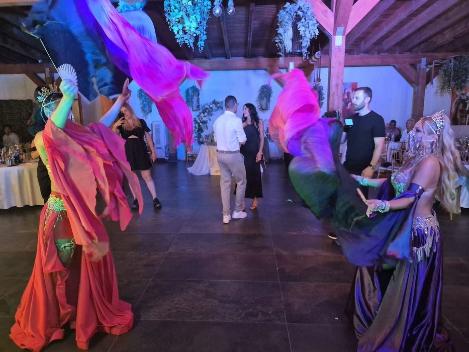 Dansatoare oriental bellydance din buric si dansuri țigănești