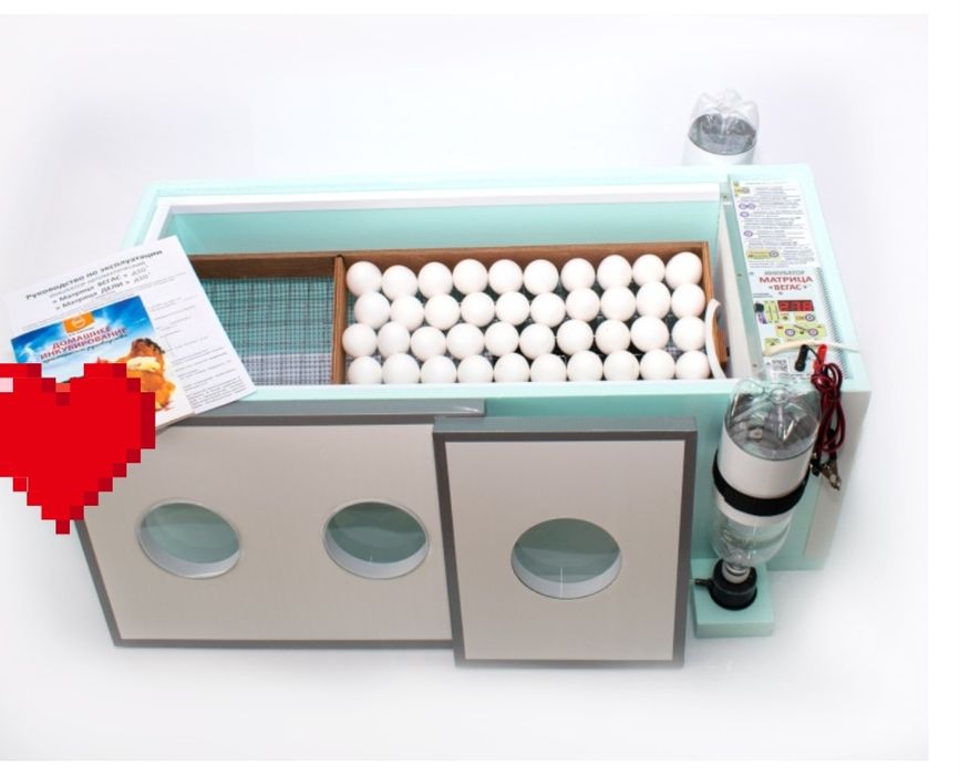 Матритса вегас сатылады