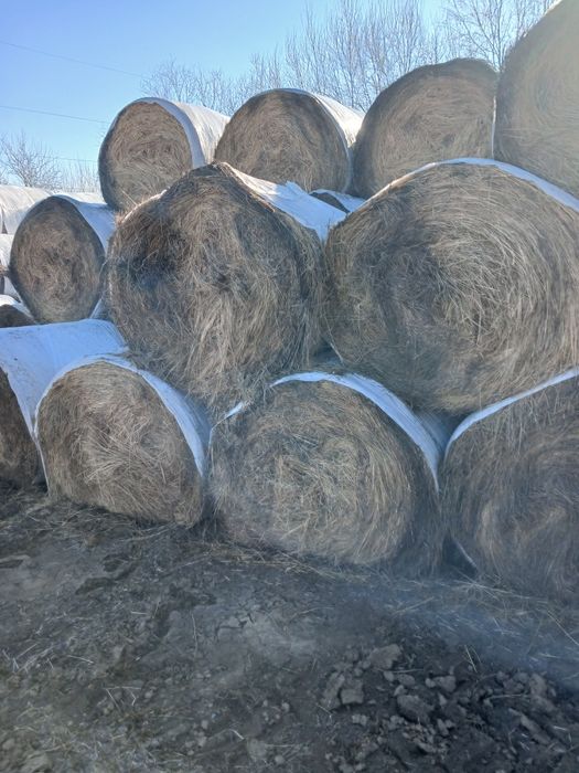 Vand baloti Fân si Lucerna