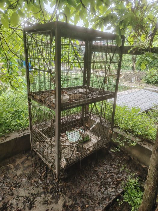 Продам клетку для кролика