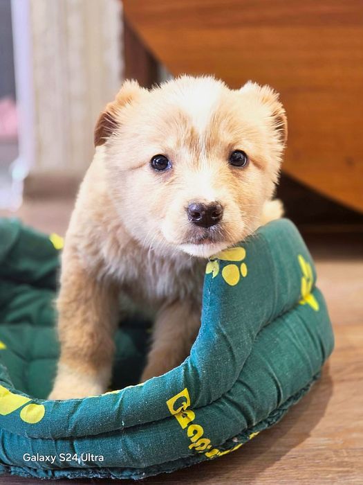 В самые добрые ручки