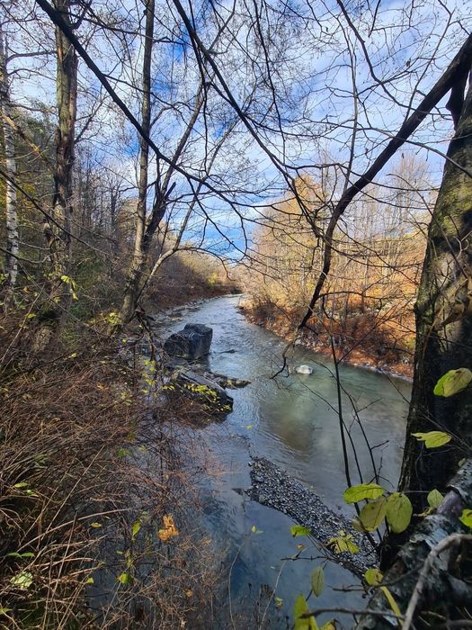 Vand teren Valea  Doftanei in coada lacului Paltinu