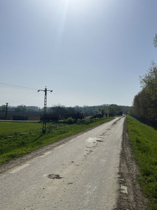 Padure  Malul Dunarii Zona Zarun
