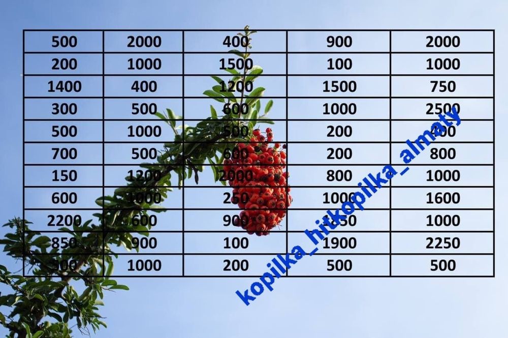 Копилка Алматы хиткопилка