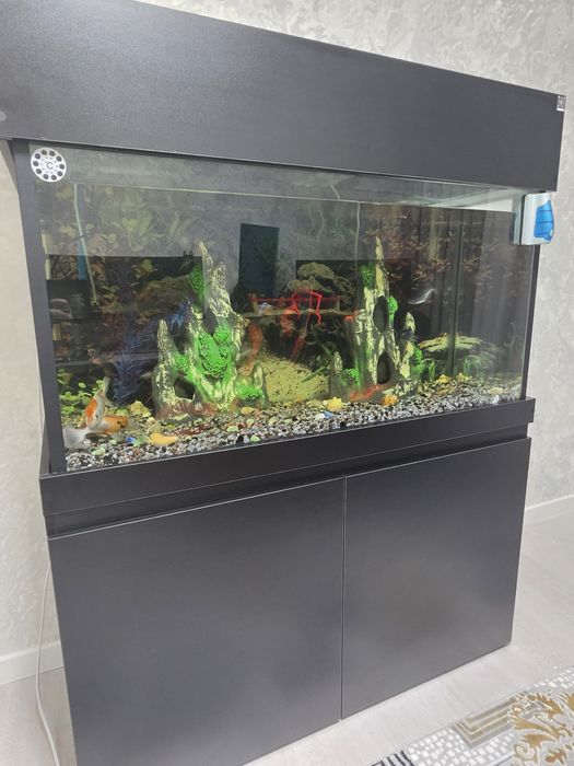 Yangi Akvarium sotiladi !