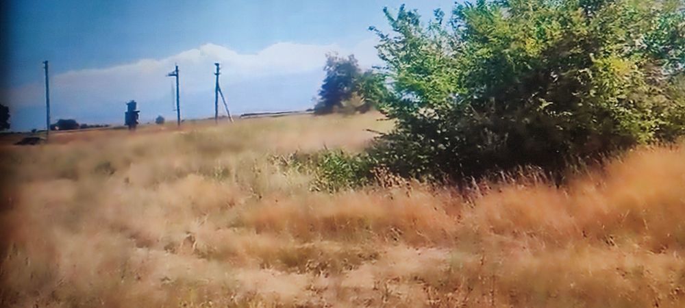 Участок 12 соток