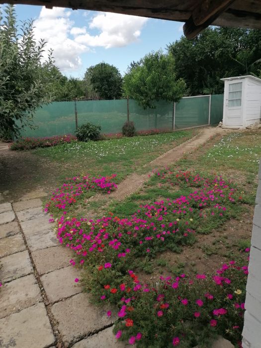 Casa batraneasca in Cosmesti Vale - teren generos, zona linistita