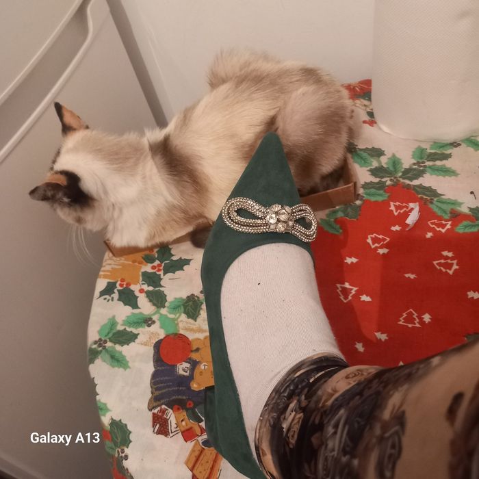 Adidas și pantof damă noi ,38 ambele