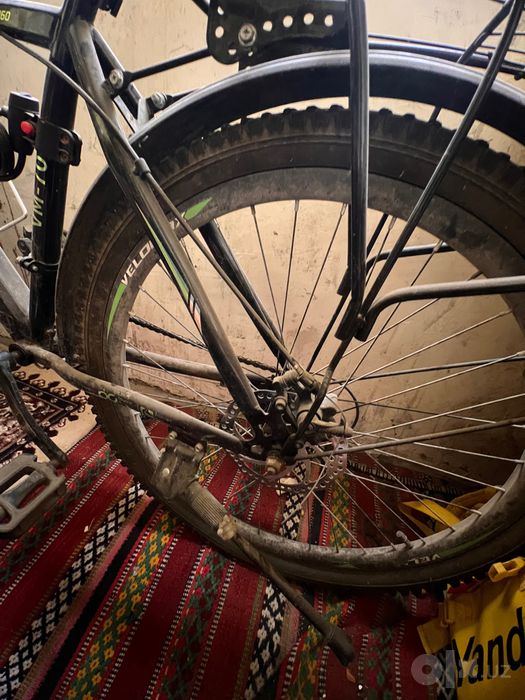 Velosiped skarasnoy