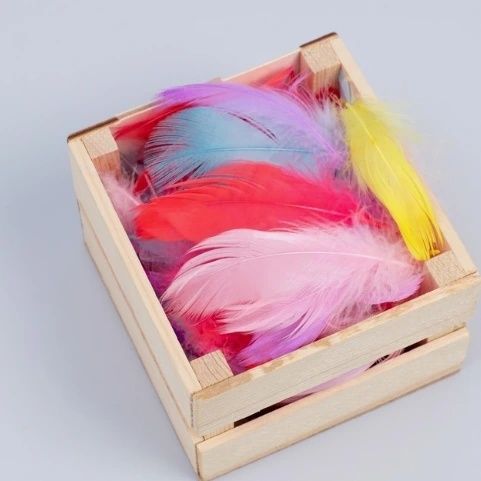 Перья для праздника, творчества