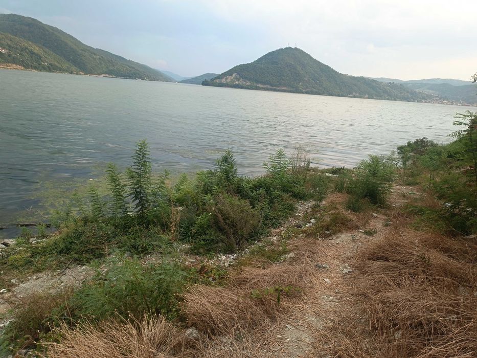 Loc de pescuit la Dunăre, Svinița