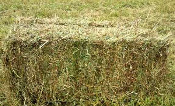 Vand baloti fan furaj