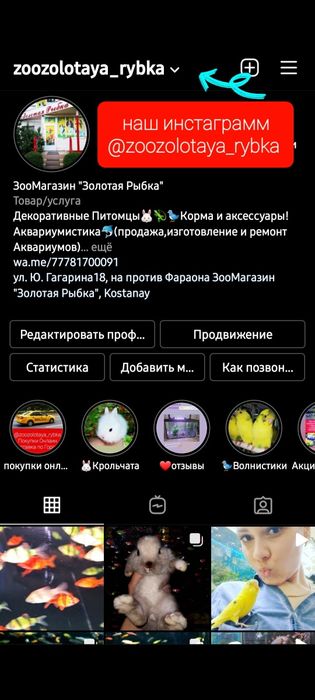 Новый аквариум 15 литров