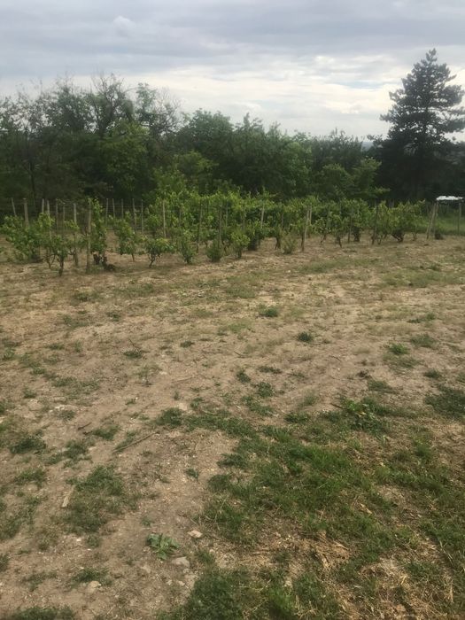 Продава се Парцел в Русе, Алеи Възраждане - 1000 кв.м за 10 €/кв.м - Снимка #5