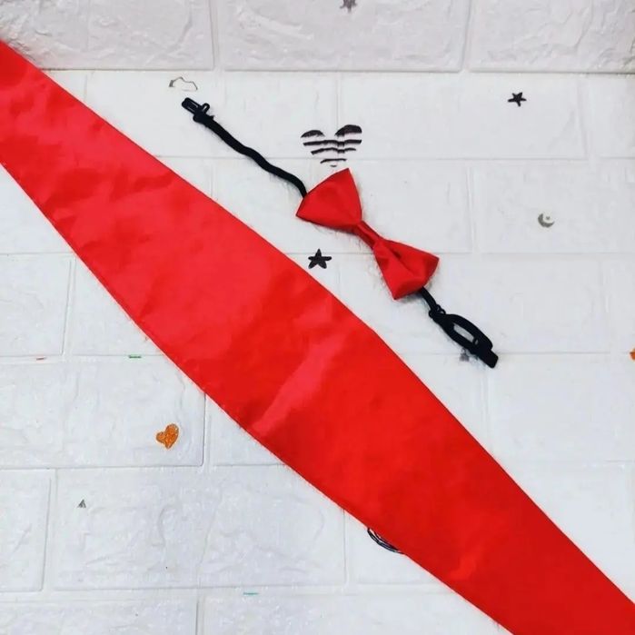 Карнавальные костюмы. Мантия.