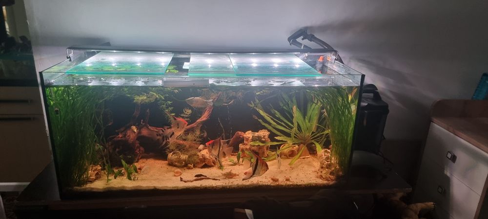 Аквариум продам полный комплект