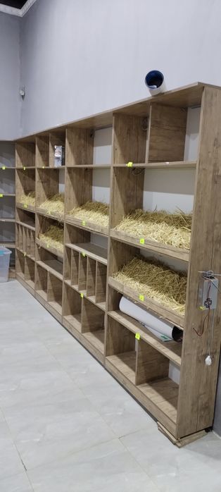 Урганч шахар гурленский