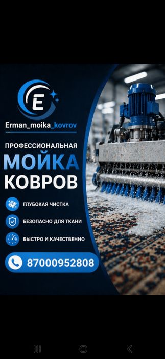 Профессиональный чистка ковров