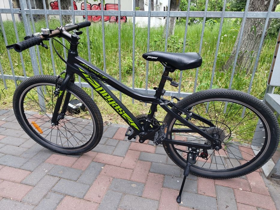 Bicicleta Copii Pegas Drumet 20