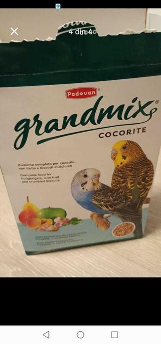 Papagal Peruș alb foarte vioi