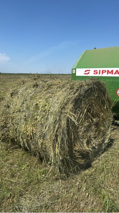 Продам сено луговое шөп рулон