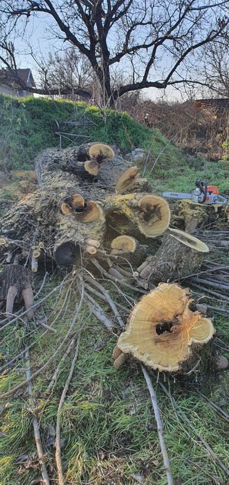 Рязане, транспорт, цепене,подреждане на дърва,почистване,извозване