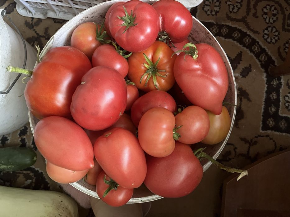 Помидоры,огурцы продам звоните п