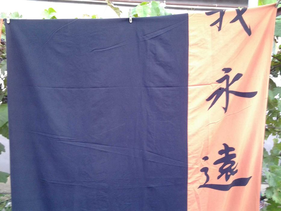 2. Literele Japoneze, Lenjerie pat 1 persoana 130 x 200 microfibra