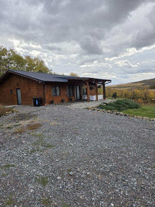 Inchiriez cabana