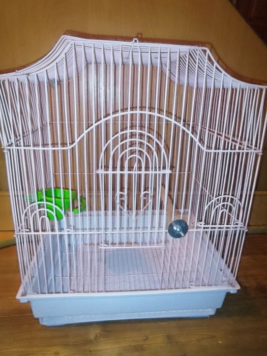 Клетка в целом состояние.