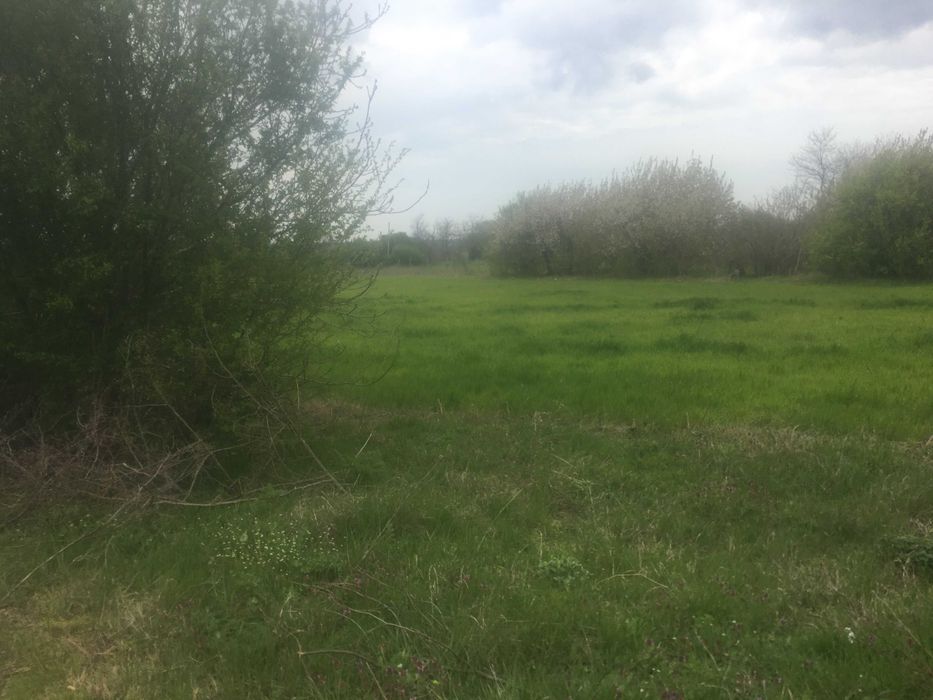 Продава се Къща в с. Видно, Област Добрич - 62 кв.м за 404 €/кв.м - Снимка #3