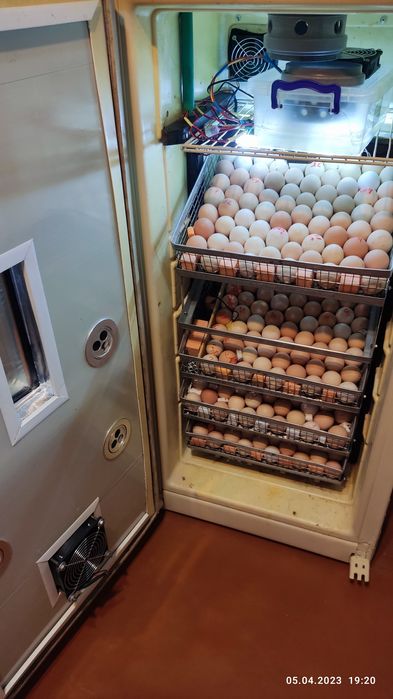 Инкубатор хизмати