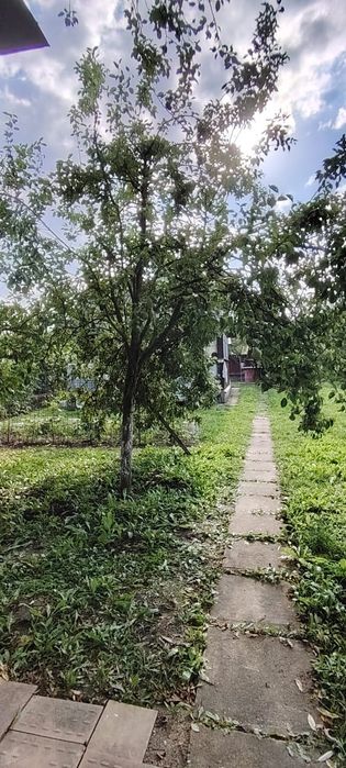 Vând casa in sat Fodora
