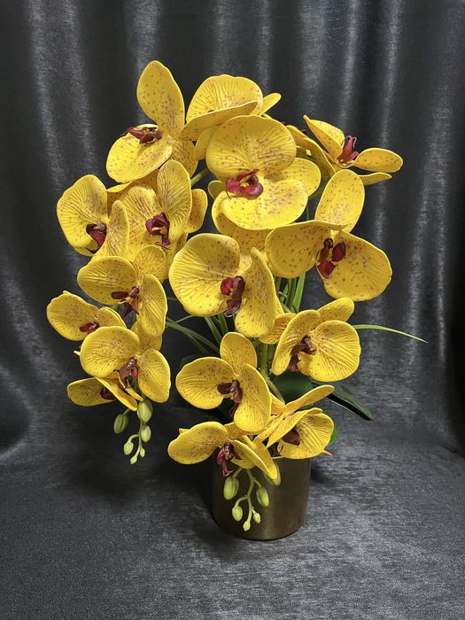 Arajnament orhidee premium