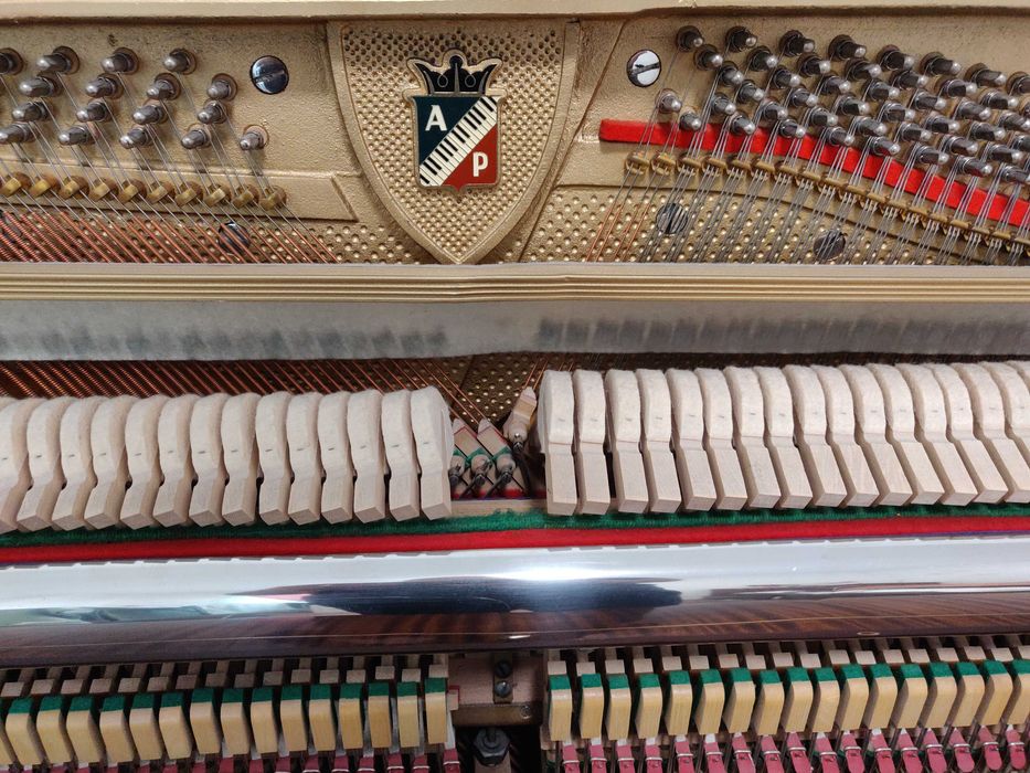 Роскошный инструмент Petrof