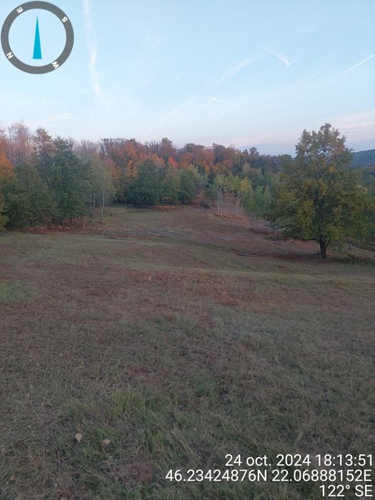 Vând 2.9 ha teren chisindia sat vasoaia/pret pe hectar