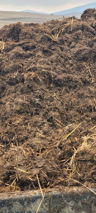 Gunoi de grajd /vaca