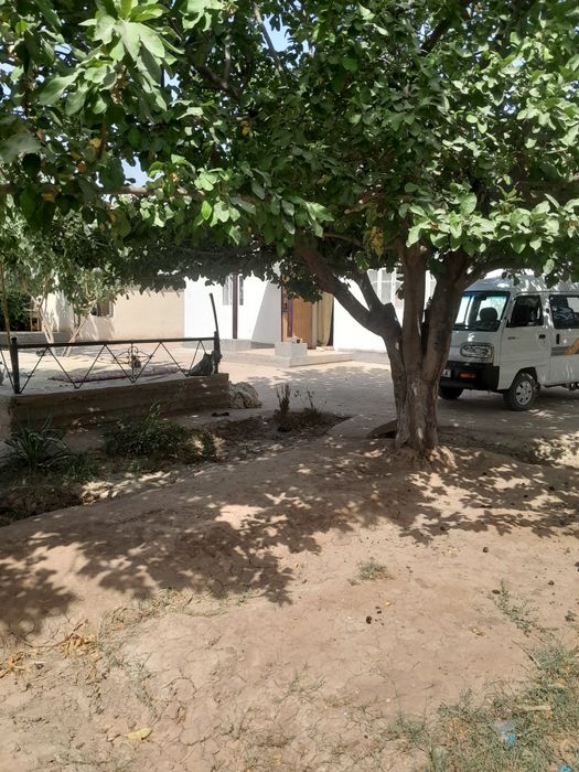 Uy bog' qishloq xovlisi