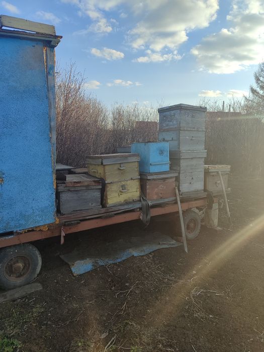 Продам пчеловодный прицеп