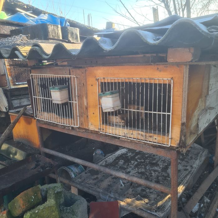 Coteț  iepuri din fier