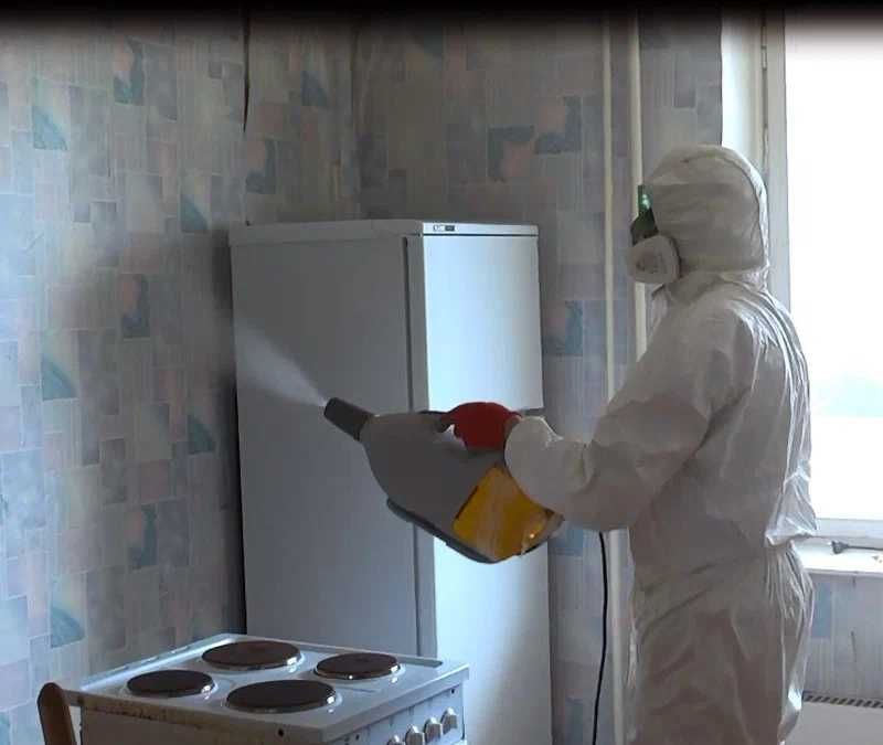 Дезинфекция клапа клопов таракан Dezinfeksiya dezenfeksiya T11