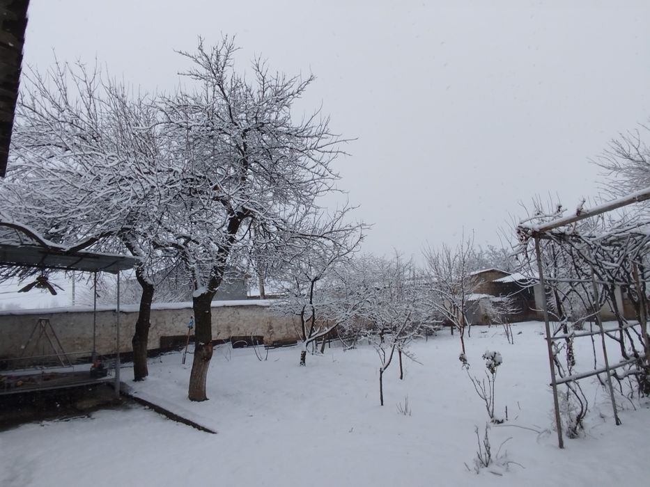 Сотилади.ховли 10сотих