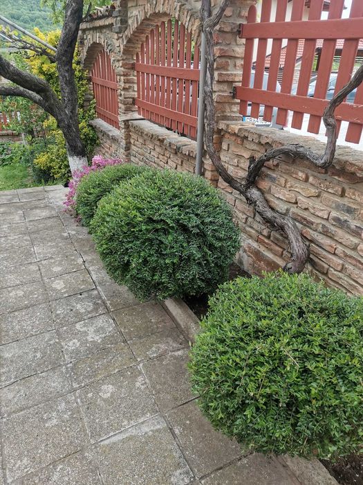 Косене/Рязане/Оформяне/Поддръжка/Почистване/Пръскане