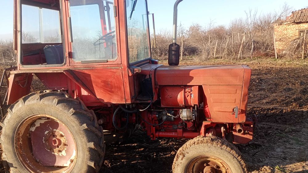 владимировец 30 коня