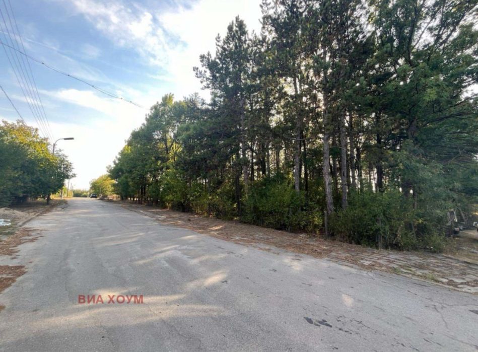 Продава се Промишлена сграда в Видин, Химик - 9350 кв.м за 12 €/кв.м - Снимка #6