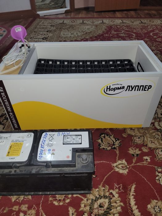 Продам инкубатор норма луппер в комплекте