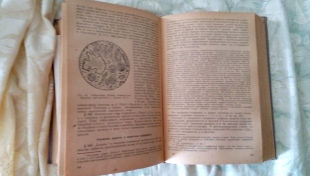 Описательная петрография автор К.Розенбуш 1934 г