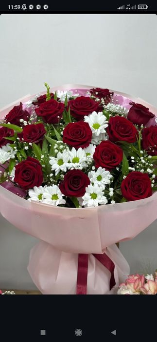 Individual yoki guruh bilan ingliz tili